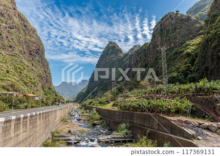 Banana plantations above the town of Ribeira Brava on the island of Madeira Banana plantations above the town of Ribeira Brava on the island of Madeira 117369131