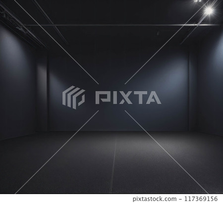 A large empty room with a black floor 117369156