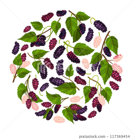 Mulberry Round Composition Design with Garden Fruit Growing Vector Template 117369454