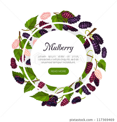 Mulberry Banner Design with Garden Fruit Growing Vector Template 117369469
