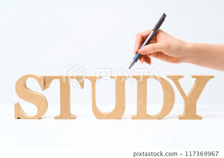 Wooden alphabet blocks arranged with the word "STUDY" 117369967