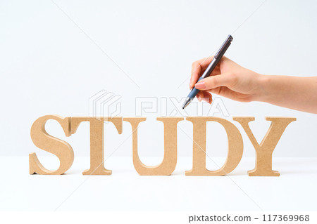 Wooden alphabet blocks arranged with the word "STUDY" 117369968