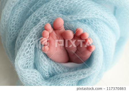 Close-up of tiny, cute, bare toes, heels and feet of a newborn girl, boy. Baby foot on blue soft coverlet, blanket. Detail of a newborn baby legs. Macro horizontal professional studio photo. Close-up of tiny, cute, bare toes, heels and feet of a newborn girl, boy. Baby foot on blue soft coverlet, blanket. Detail of a newborn baby legs. Macro horizontal professional studio photo. 117370863