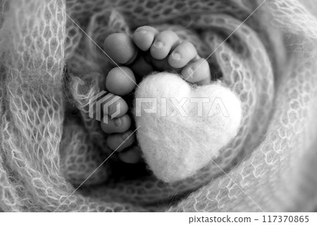 The tiny foot of a newborn baby. Soft feet of a new born in a wool blanket. Close up of toes, heels and feet of a newborn. Knitted heart in the legs of a baby Studio macro photography. Black and white 117370865