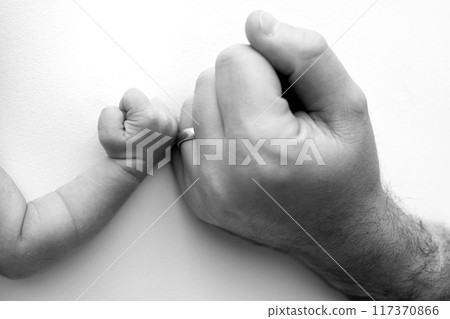 The newborn baby has a firm grip on the parent's finger after birth. Close-up little hand of child and palm of mother and father. Parenting, childcare and healthcare concept. Black and white photo.  117370866