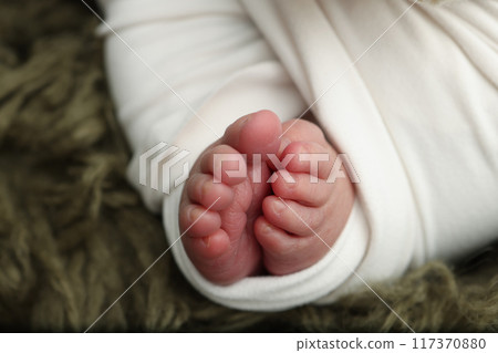The tiny foot of a newborn. Soft feet of a newborn in a white blanket on dark green background. Close up of toes, heels and feet of a newborn baby. Studio Macro photography. Woman's happiness. 117370880