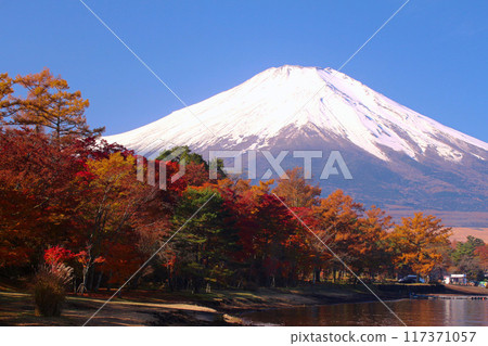 Yamanakako Village: Mt. Fuji and Lake Yamanaka's autumn foliage Yamanakako Village: Mt. Fuji and Lake Yamanaka's autumn foliage 117371057