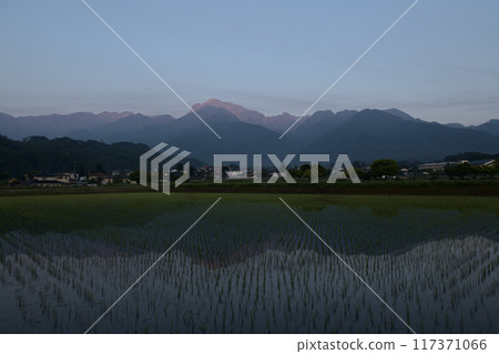 在北斗市白州町種植的稻田中,南阿爾卑斯山的凱駒岳出現在朝霞之中。 在北斗市白州町種植的稻田中,南阿爾卑斯山的凱駒岳出現在朝霞之中。 117371066