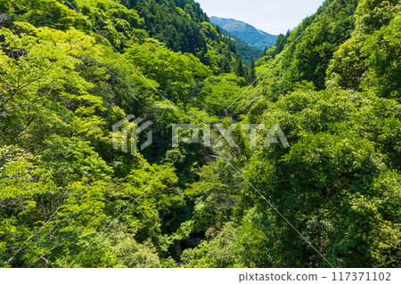 高知縣仁澱川町鮮綠的中津溪谷（仁澱藍） 117371102