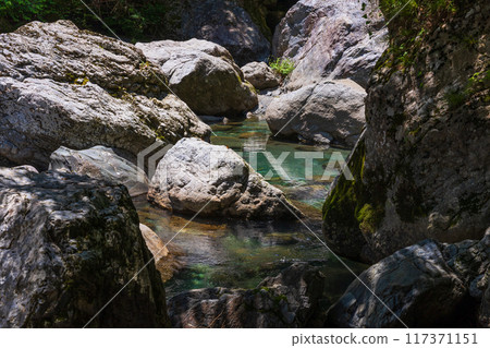 高知縣仁澱川町鮮綠的中津溪谷(仁澱藍) 高知縣仁澱川町鮮綠的中津溪谷(仁澱藍) 117371151