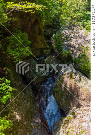 高知縣仁澱川町鮮綠的中津溪谷（仁澱藍） 117371174