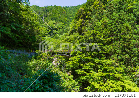 高知縣仁澱川町鮮綠的中津溪谷(仁澱藍) 高知縣仁澱川町鮮綠的中津溪谷(仁澱藍) 117371191