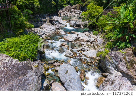 Fresh greenery in Nakatsu Valley (Niyodo Blue) in Niyodogawa Town, Kochi Prefecture Fresh greenery in Nakatsu Valley (Niyodo Blue) in Niyodogawa Town, Kochi Prefecture 117371208