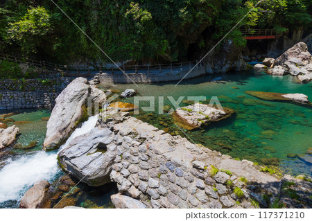Fresh greenery in Nakatsu Valley (Niyodo Blue) in Niyodogawa Town, Kochi Prefecture 117371210