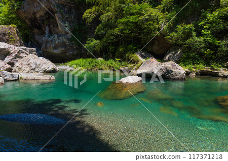 Fresh greenery in Nakatsu Valley (Niyodo Blue) in Niyodogawa Town, Kochi Prefecture 117371218