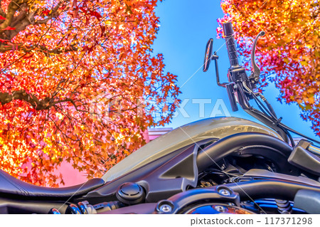 橫濱都築區巡遊 - 大型美國自行車和秋葉 橫濱都築區巡遊 - 大型美國自行車和秋葉 117371298