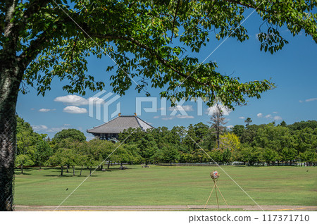 The Great Buddha Hall of Todaiji Temple seen from Kasuganoenchi, Nara Park 117371710