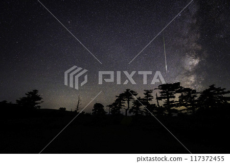 Perseid meteor shower: Meteors and the starry sky of the Perseid meteor shower Perseid meteor shower: Meteors and the starry sky of the Perseid meteor shower 117372455