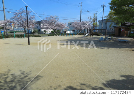 無人的小公園,櫻花盛開 無人的小公園,櫻花盛開 117372484