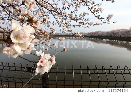 Key · Tamagawa ruins Key · Tamagawa ruins 117374164