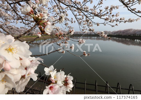 Key · Tamagawa ruins Key · Tamagawa ruins 117374165
