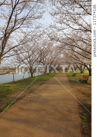 Key·多摩川遺址 Key·多摩川遺址 117374186