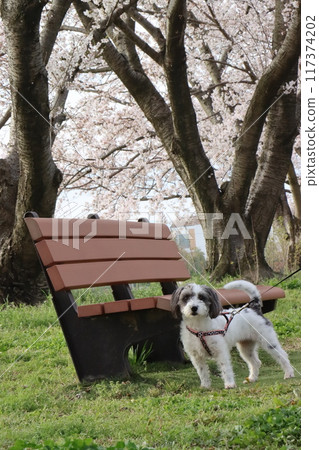 Key · Tamagawa ruins 117374202
