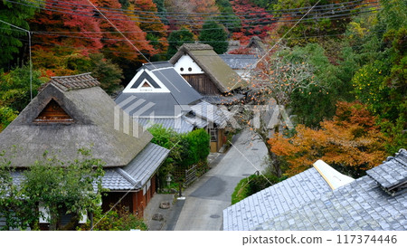 京都奧賀賀的愛宕街道 117374446