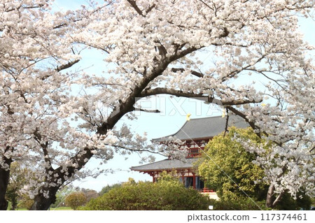 View of the Keihanawa Bicycle Path 117374461
