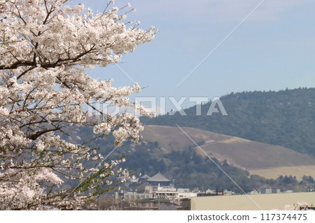 View of the Keihanawa Bicycle Path 117374475