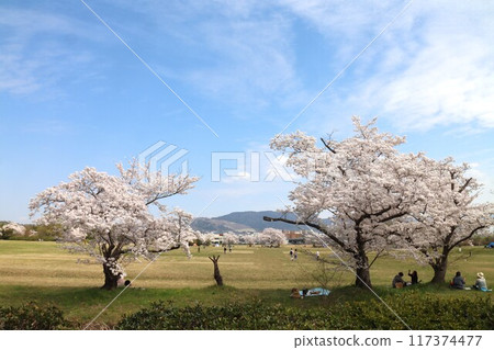 圭繩自行車道風景 117374477