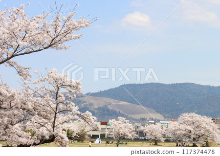 圭繩自行車道風景 圭繩自行車道風景 117374478