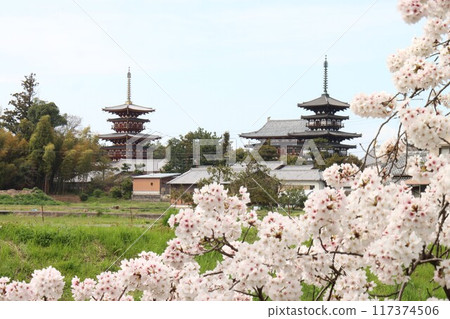 View of the Keihanawa Bicycle Path View of the Keihanawa Bicycle Path 117374506