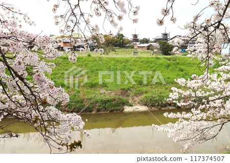View of the Keihanawa Bicycle Path View of the Keihanawa Bicycle Path 117374507