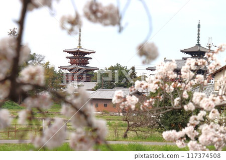 View of the Keihanawa Bicycle Path 117374508