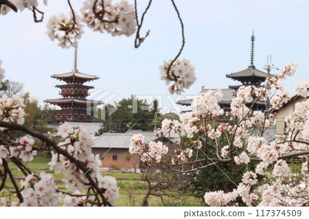 View of the Keihanawa Bicycle Path 117374509