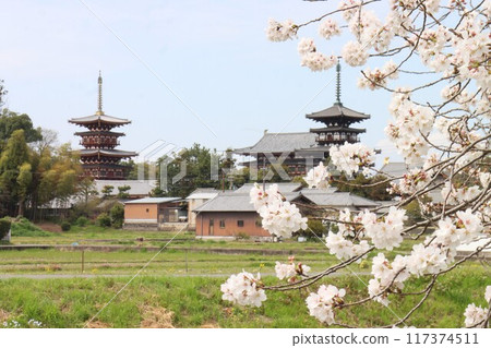 View of the Keihanawa Bicycle Path 117374511