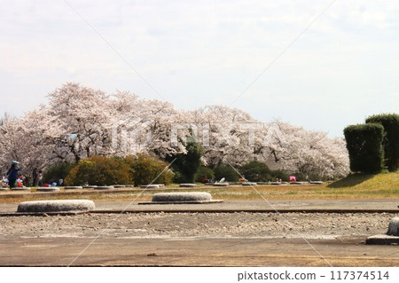 圭繩自行車道風景 圭繩自行車道風景 117374514