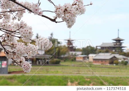 View of the Keihanawa Bicycle Path 117374518