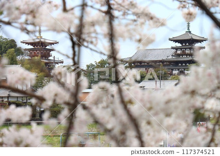 View of the Keihanawa Bicycle Path 117374521