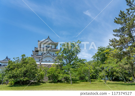 Iga Ueno Castle tower in early summer, Iga City, Mie Prefecture 117374527