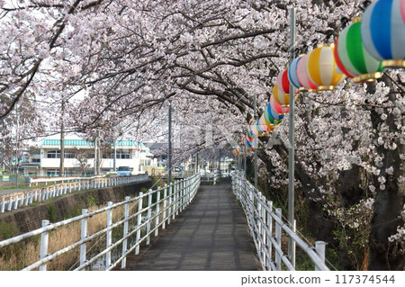 圭繩自行車道風景 圭繩自行車道風景 117374544