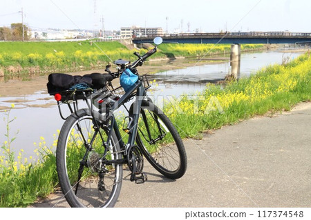 View of the Keihanawa Bicycle Path View of the Keihanawa Bicycle Path 117374548