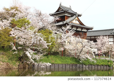 View of the Keihanawa Bicycle Path 117374614