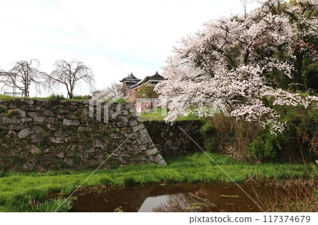 View of the Keihanawa Bicycle Path 117374679