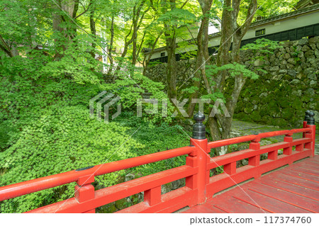 岐阜縣揖斐川町,西美濃三十三聖地第一寺的新綠中橫藏寺的紅橋 岐阜縣揖斐川町,西美濃三十三聖地第一寺的新綠中橫藏寺的紅橋 117374760