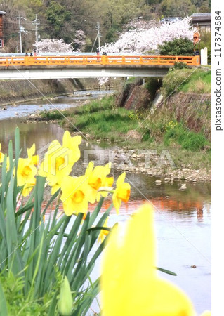 View of the Keihanawa Bicycle Path 117374884
