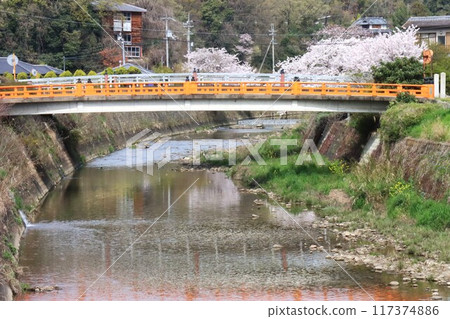 圭繩自行車道風景 117374886