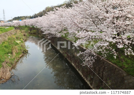 圭繩自行車道風景 圭繩自行車道風景 117374887