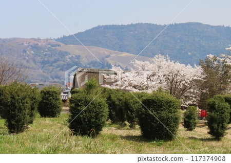 圭繩自行車道風景 117374908